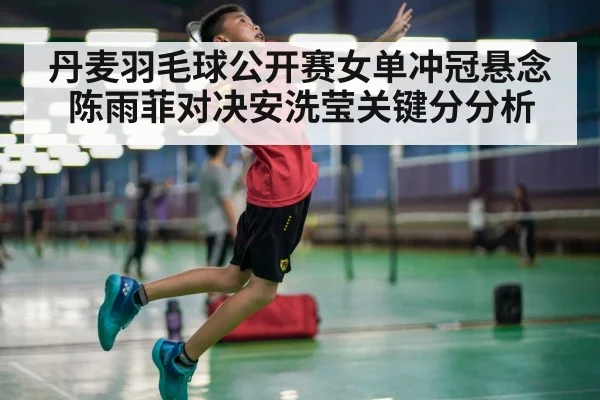 丹麦羽毛球公开赛女单冲冠悬念 陈雨菲对决安洗莹关键分分析