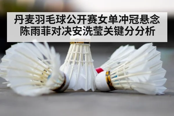 badminton shuttlecock court